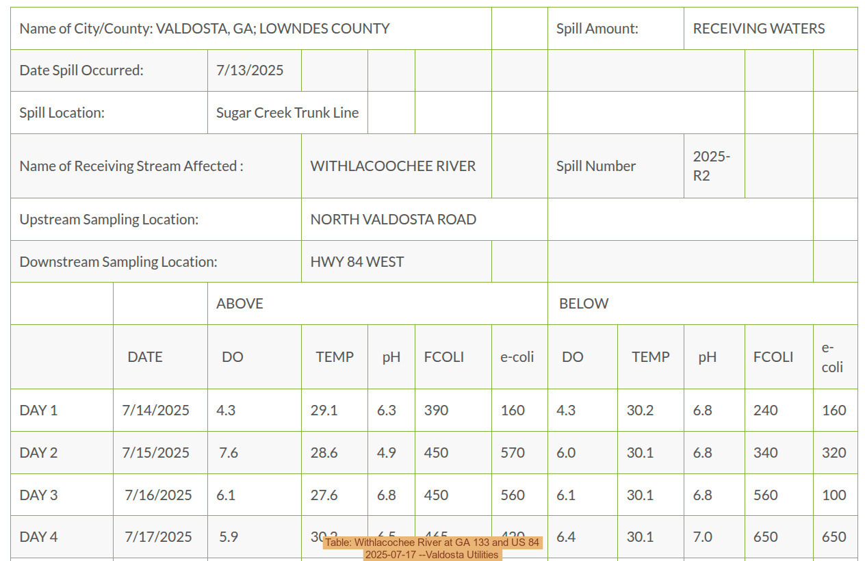 Table: Withlacochee River at GA 133 and US 84, 2025-07-17 --Valdosta Utilities