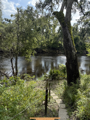 [Holly Point other, Withlacoochee River @ NE Withla Bluffs Way 2025-07-16 --Russ Tatum for WWALS]
