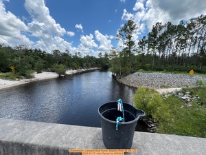 [Downstream, Lakeland Boat Ramp, Alapaha River @ GA 122 2025-07-17 --Kim Tanner for WWALS]