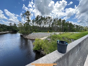 [Back, Lakeland Boat Ramp, Alapaha River @ GA 122 2025-07-17 --Kim Tanner for WWALS]