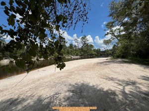 [Upstream, Naylor Park Beach, Alapaha River @ US 84 2025-07-17 --Kim Tanner for WWALS]