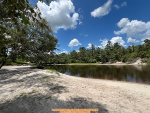 [Downstream, Naylor Park Beach, Alapaha River @ US 84 2025-07-17 --Kim Tanner for WWALS]