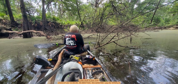 [Little stuff in the river, 2025:07:22 12:06:06, 30.8847103, -83.3250789 --jsq for WWALS]