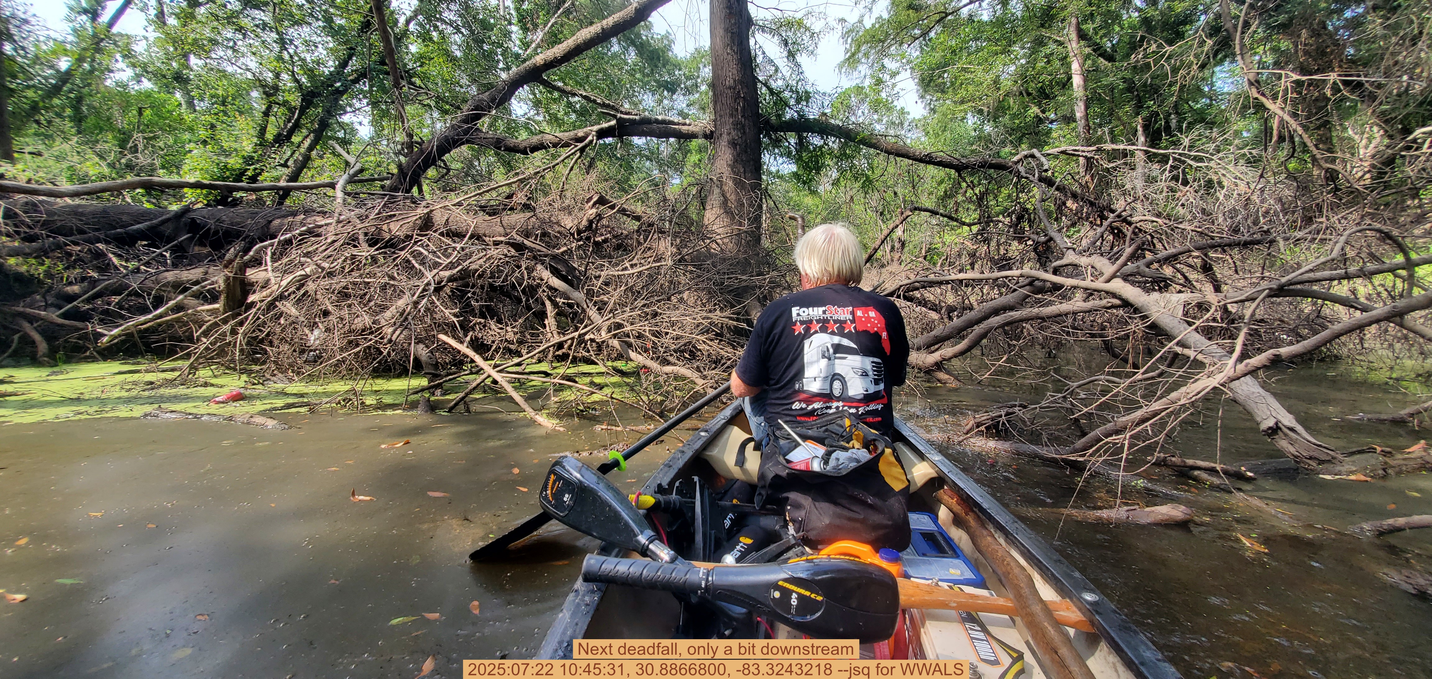 Next deadfall, only a bit downstream, 2025:07:22 10:45:31, 30.8866800, -83.3243218 --jsq for WWALS