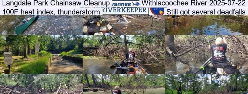 Langdale Park Chainsaw Cleanup, Withlacoochee River 2025-07-22, 100F heat index, thunderstorm, Still got several deadfalls