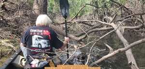 [Movie: Phil sawing the second deadfall, 2025:07:22 10:45:41, 30.8866800, -83.3243218 (14M) --jsq for WWALS]