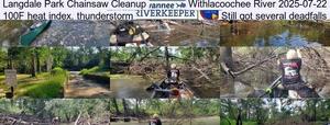 [Langdale Park Chainsaw Cleanup, Withlacoochee River 2025-07-22, 100F heat index, thunderstorm, Still got several deadfalls]