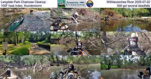 [Langdale Park Chainsaw Cleanup, Withlacoochee River 2025-07-22, 100F heat index, thunderstorm, Still got several deadfalls]