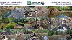 [Langdale Park Chainsaw Cleanup, Withlacoochee River 2025-07-22, 100F heat index, thunderstorm, Still got several deadfalls]