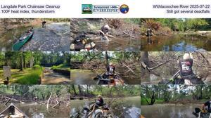 [Langdale Park Chainsaw Cleanup, Withlacoochee River 2025-07-22, 100F heat index, thunderstorm, Still got several deadfalls]