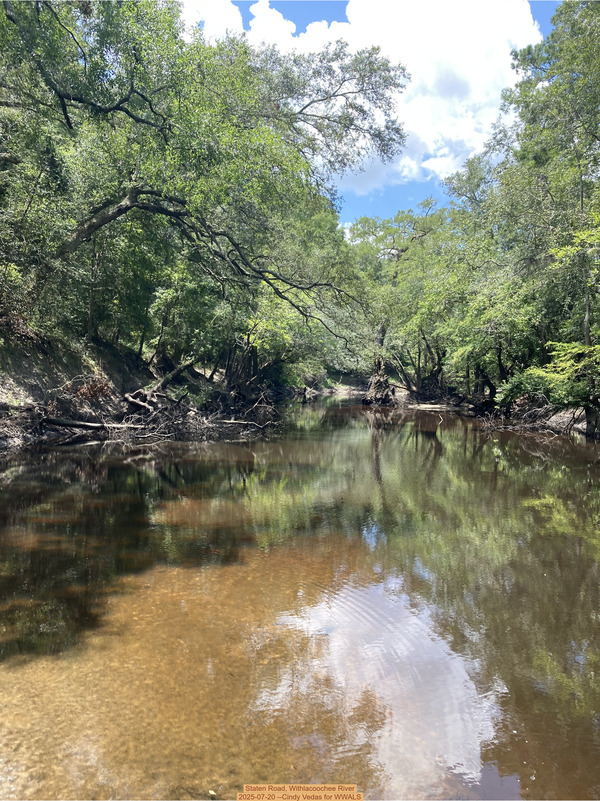 [Staten Road, Withlacoochee River, 2025-07-20 --Cindy Vedas for WWALS]