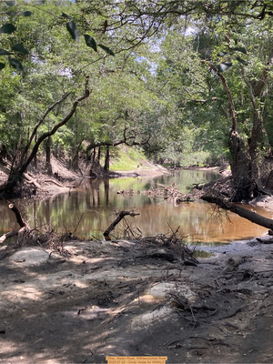 [Other, Staten Road, Withlacoochee River, 2025-07-20 --Cindy Vedas for WWALS]