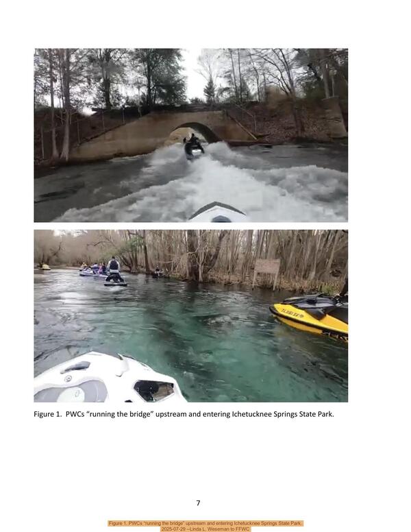 [Figure 1. PWCs “running the bridge” upstream and entering Ichetucknee Springs State Park., 2025-07-29 --Linda L. Weseman to FFWC]