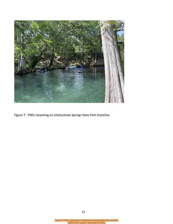 [Figure 7: PWCs beaching on Ichetucknee Springs State Park shoreline, 2025-07-29 --Linda L. Weseman to FFWC]