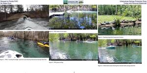 [Request to Florida FWC, Ichetucknee Springs Protection Zone, No Wake Zone, Turtles and Personal Watercraft]