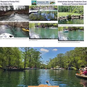 [Request to Florida FWC, Ichetucknee Springs Protection Zone, No Wake Zone, Turtles and Personal Watercraft]