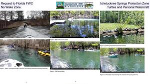 [Request to Florida FWC, Ichetucknee Springs Protection Zone, No Wake Zone, Turtles and Personal Watercraft]