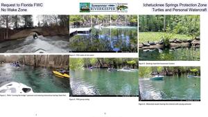 [Request to Florida FWC, Ichetucknee Springs Protection Zone, No Wake Zone, Turtles and Personal Watercraft]