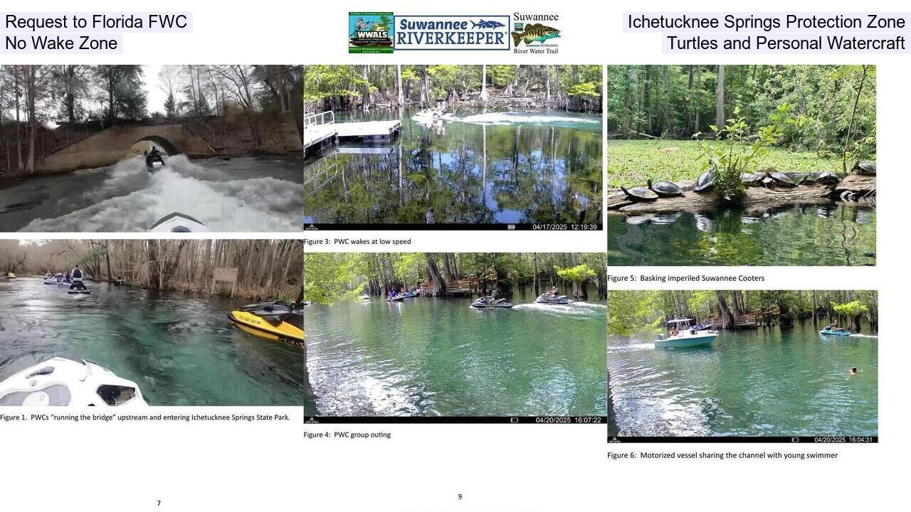 Request to Florida FWC, Ichetucknee Springs Protection Zone, No Wake Zone, Turtles and Personal Watercraft