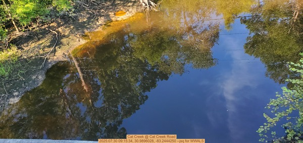 [Cat Creek @ Cat Creek Road, 2025:07:30 09:15:34, 30.9896028, -83.2444250 --jsq for WWALS]