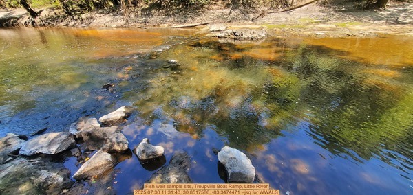 [Fish weir sample site, Troupville Boat Ramp, Little River, 2025:07:30 11:31:40, 30.8517586, -83.3474471 --jsq for WWALS]