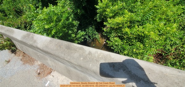 Upstream, Beatty Branch @ Cat Creek Road, 2025:07:30 14:10:35, 30.9801819, -83.2463414 --jsq for WWALS
