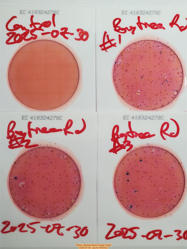 Plates, Baytree Road, Sugar Creek, 2025-07-30 --jsq for WWALS