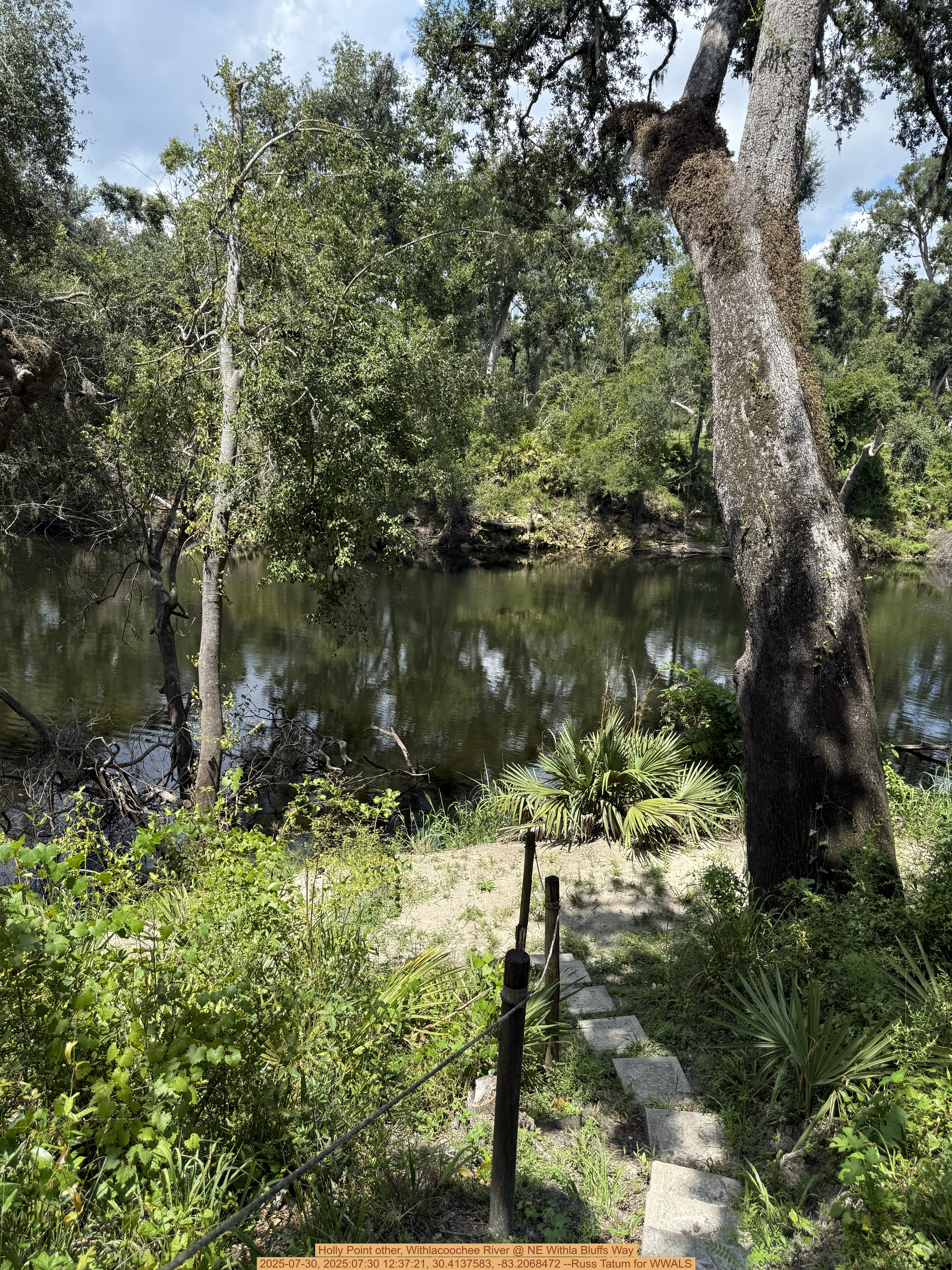 Holly Point other, Withlacoochee River @ NE Withla Bluffs Way 2025-07-30, 2025:07:30 12:37:21, 30.4137583, -83.2068472 --Russ Tatum for WWALS