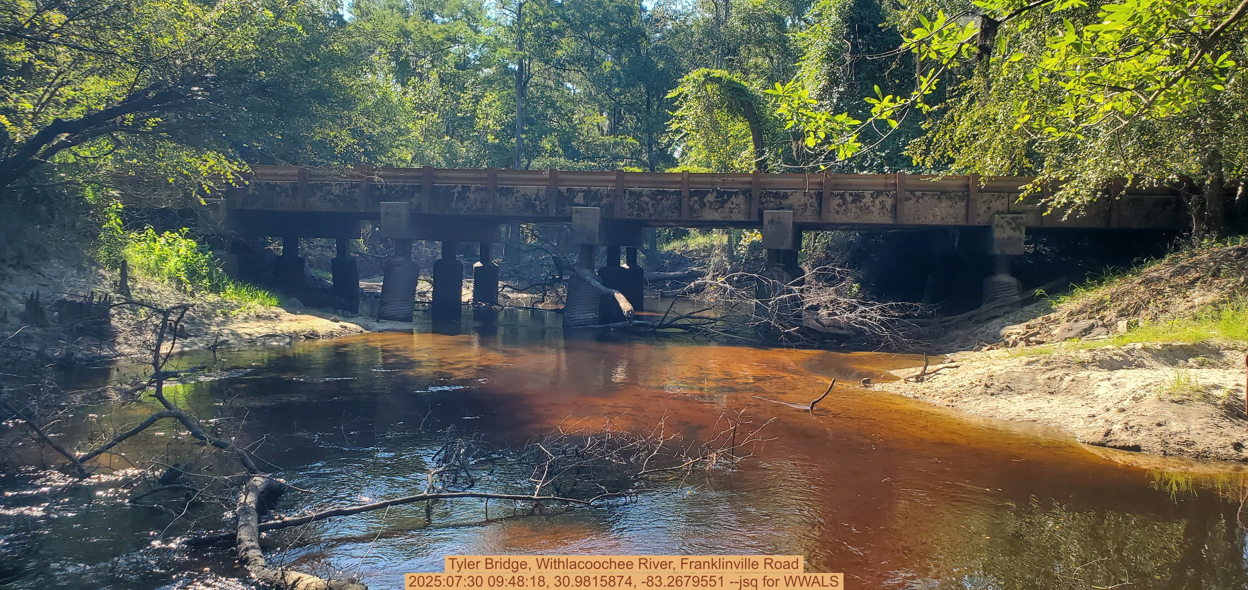 Tyler Bridge, Withlacoochee River, Franklinville Road, 2025:07:30 09:48:18, 30.9815874, -83.2679551 --jsq for WWALS