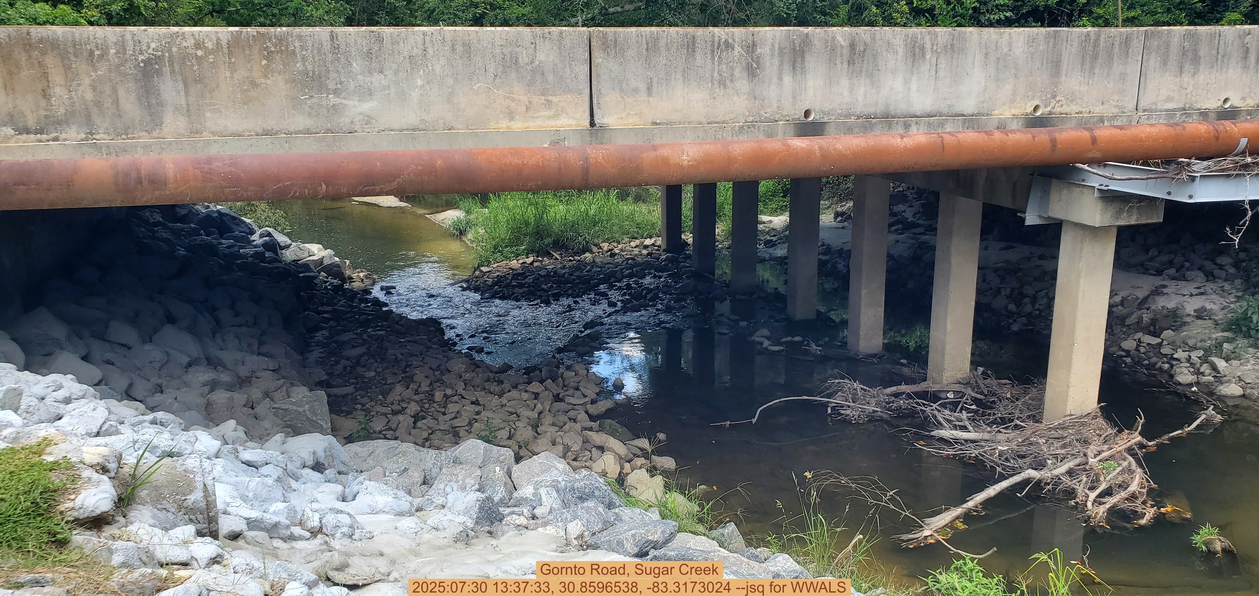 Gornto Road, Sugar Creek, 2025:07:30 13:37:33, 30.8596538, -83.3173024 --jsq for WWALS