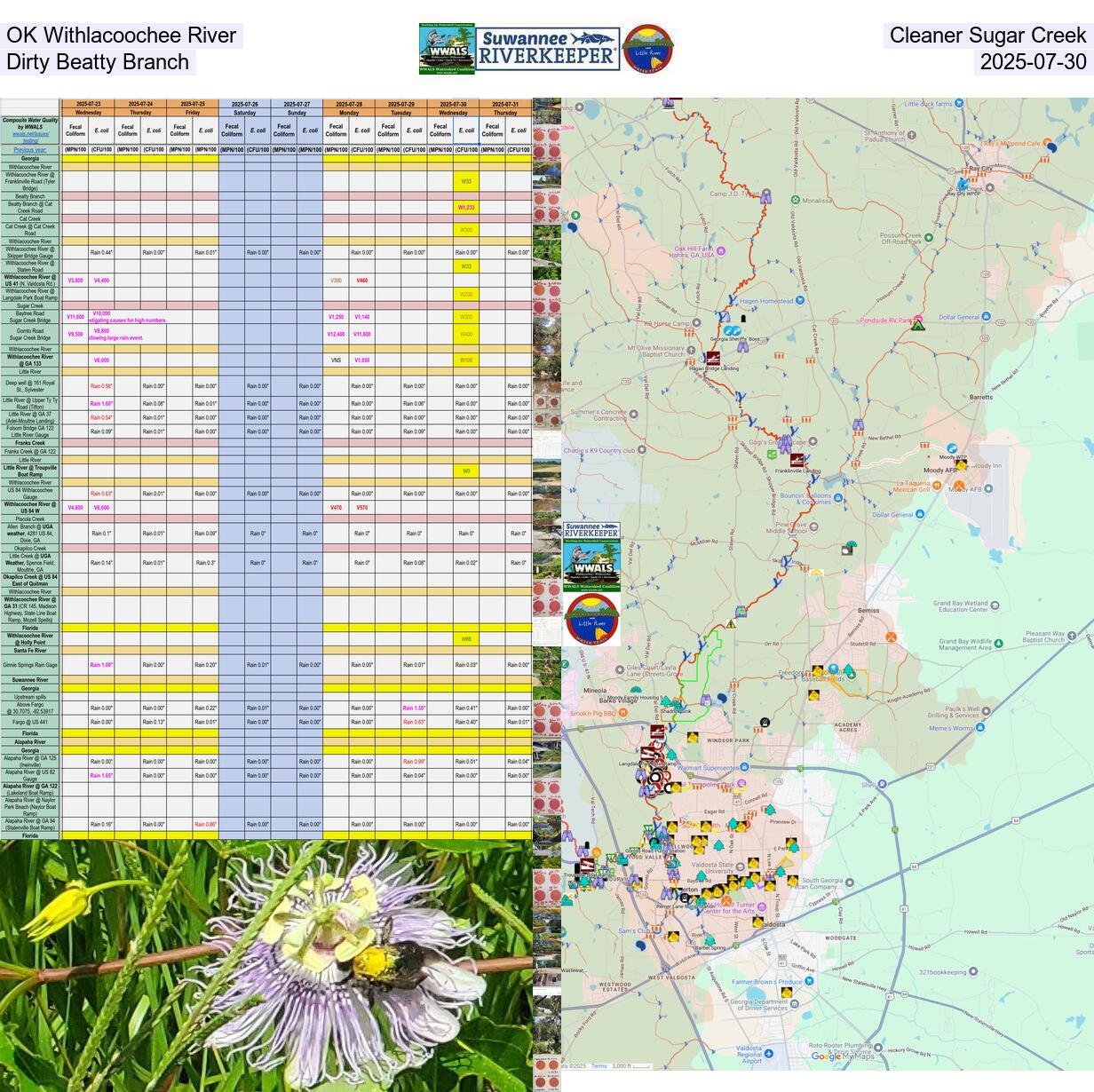 [OK Withlacoochee River, Cleaner Sugar Creek, Dirty Beatty Branch, 2025-07-30]