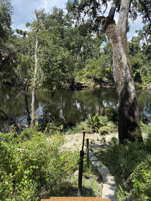 [Holly Point other, Withlacoochee River @ NE Withla Bluffs Way 2025-07-30, 2025:07:30 12:37:21, 30.4137583, -83.2068472 --Russ Tatum for WWALS]