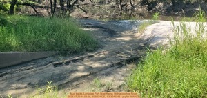 [Mud tracks, Langdale Park Boat Ramp, Withlacoochee River, 2025:07:30 11:04:00, 30.8874425, -83.3240343 --jsq for WWALS]