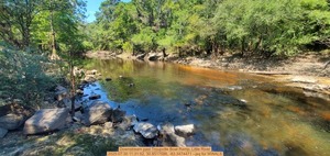 [Downstream past Troupville Boat Ramp, Little River, 2025:07:30 11:31:52, 30.8517586, -83.3474471 --jsq for WWALS]