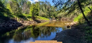 [Downstream, GA 133, Withlacoochee River, 2025:07:30 11:55:01, 30.8498470, -83.3399557 --jsq for WWALS]