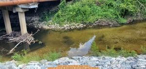 [Green water, Gornto Road, Sugar Creek, 2025:07:30 13:37:36, 30.8596538, -83.3173024 --jsq for WWALS]