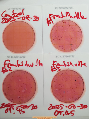 [Plates, Franklinville Landing, Withlacoochee River, 2025-07-30 --jsq for WWALS]