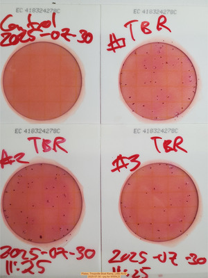 [Plates, Troupville Boat Ramp, Little River, 2025-07-30 --jsq for WWALS]