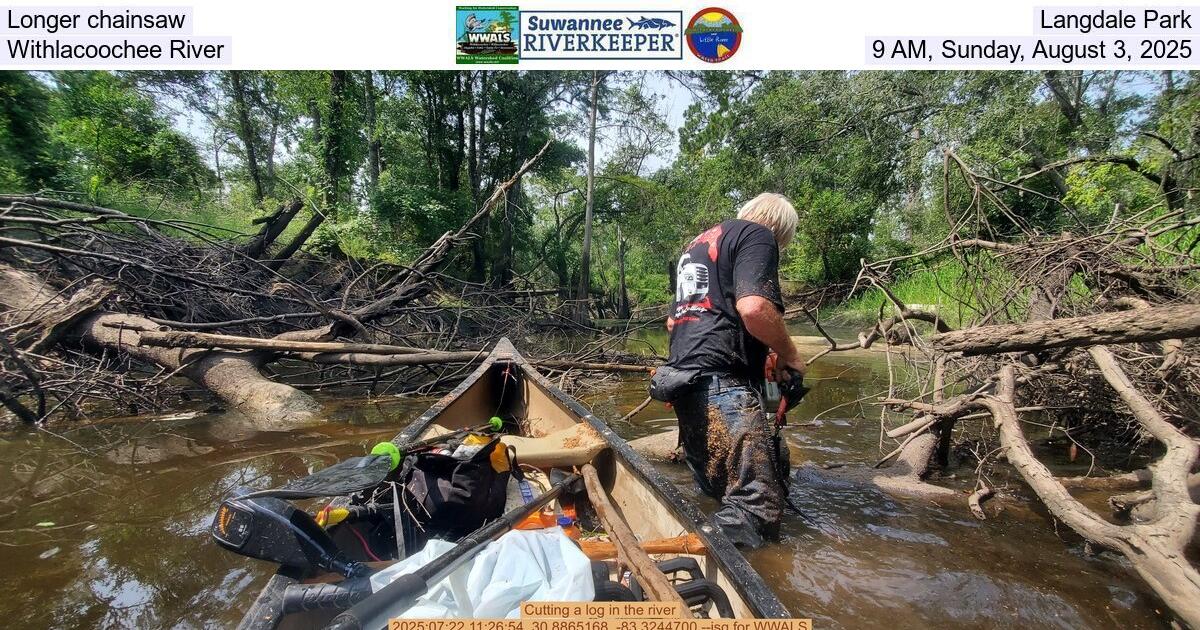 [Longer chainsaw, Langdale Park, Withlacoochee River, 9 AM, Saturday, August 2, 2025]