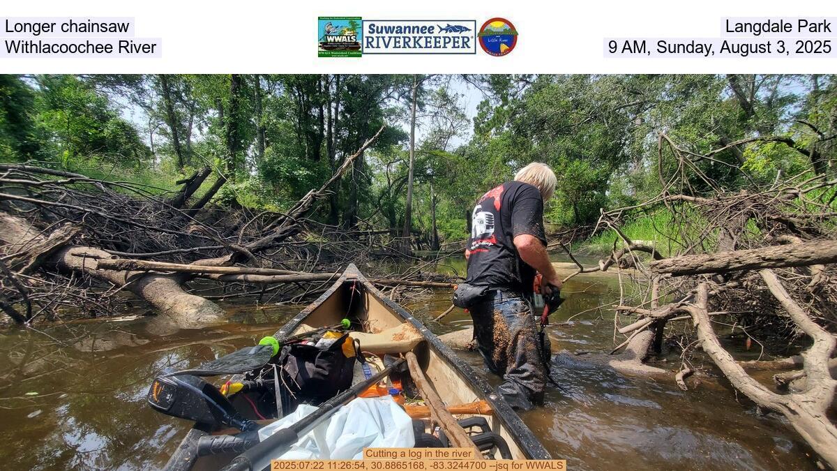 Longer chainsaw, Langdale Park, Withlacoochee River, 9 AM, Saturday, August 2, 2025