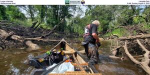 [Longer chainsaw, Langdale Park, Withlacoochee River, 9 AM, Saturday, August 2, 2025]