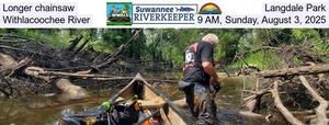 [Longer chainsaw, Langdale Park, Withlacoochee River, 9 AM, Saturday, August 2, 2025]
