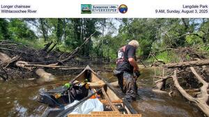 [Longer chainsaw, Langdale Park, Withlacoochee River, 9 AM, Saturday, August 2, 2025]