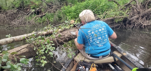 [Starting a river birch, 2025:08:03 10:38:48, 30.8820879, -83.3253728]