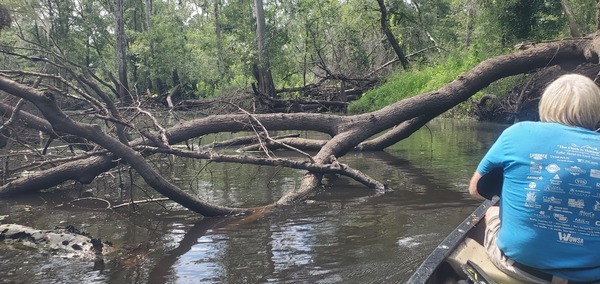 [Complicated deadfall, 2025:08:03 11:31:36, 30.8794859, -83.3263297]