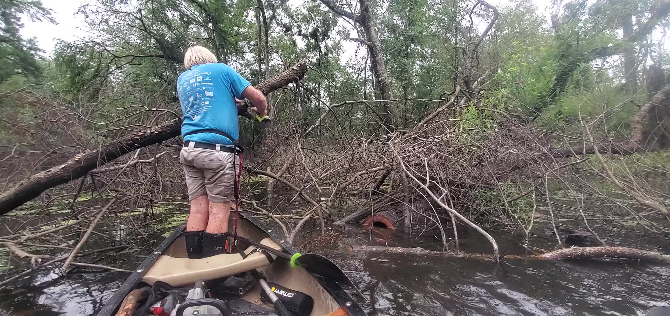 Movie: Trimming high limb, 2025:08:03 10:10:24, 30.8825449, -83.3241949 (18M)