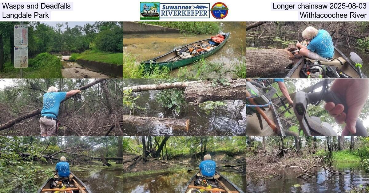 [Wasps and Deadfalls, Longer chainsaw 2025-08-03, Langdale Park, Withlacoochee River]