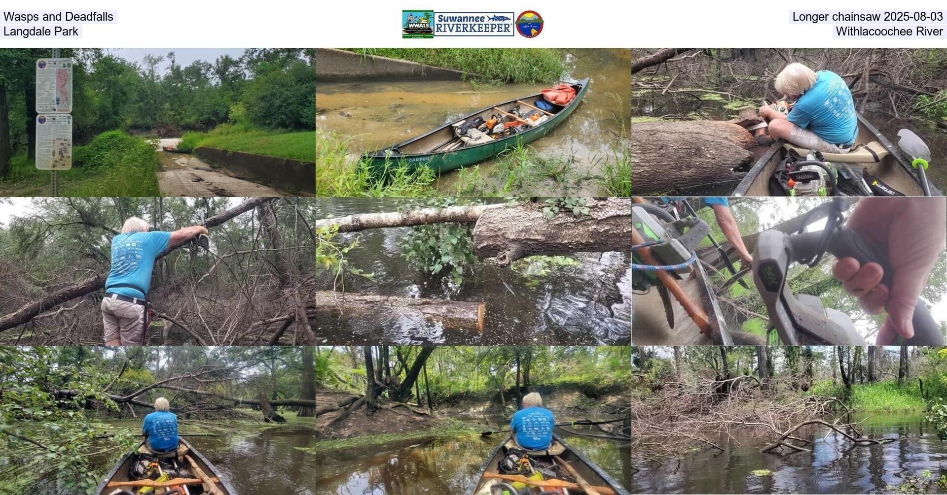 [Wasps and Deadfalls, Longer chainsaw 2025-08-03, Langdale Park, Withlacoochee River]