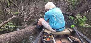 [Movie: Sawing a large log, 2025:08:03 09:32:08, 30.8826733, -83.3241957 (27M)]