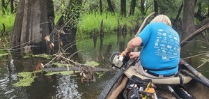 [Sawing in the water, 2025:08:03 10:45:42, 30.8814306, -83.3254656]